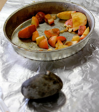 Kwakiutl steamed apples and mashing stone. Photo A. Rivera.